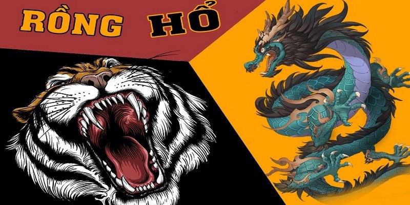 Các thuật ngữ quan trọng trong trò chơi Rồng Hổ 77win