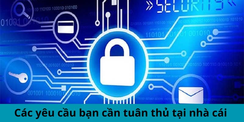 Các yêu cầu bạn cần tuân thủ tại nhà cái